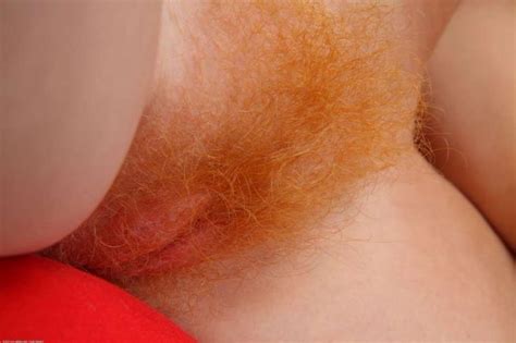 Hairy Redhead Pussy Closeup Telegraph