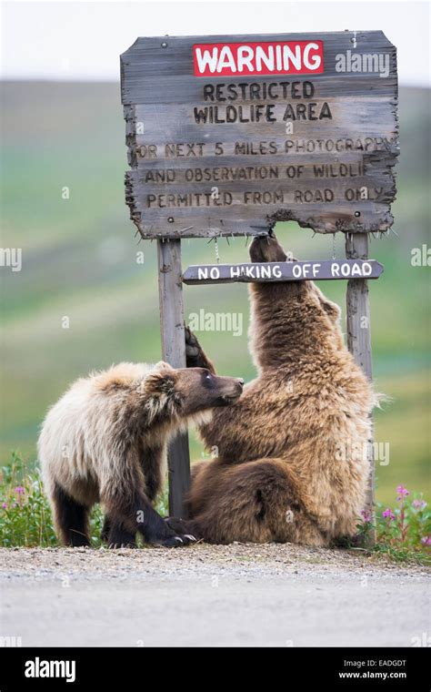 Digital Omnivore Text High Resolution Stock Photography And Images Alamy