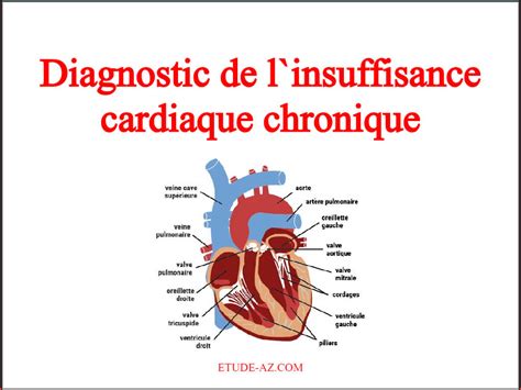 Diagnostic De L`insuffisance Cardiaque Chronique Pdf Etude Az