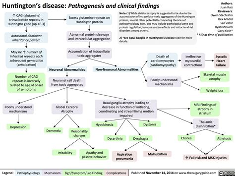 Huntingtons Disease Pathogenesis And Clinical Findings Calgary Guide