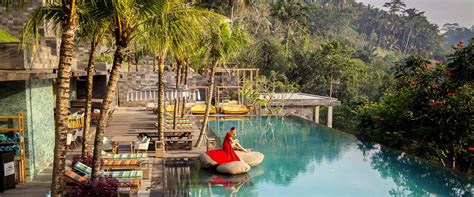 Discover 1,703,990 royalty free music tracks and audio files from only $1 on audiojungle. Swing - Jungle Resort - A Jungle Resort WordPress Theme