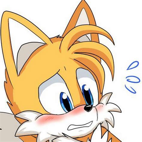 Tails The Fox Youtube
