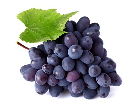 The meaning and symbolism of the word - «Grapes»