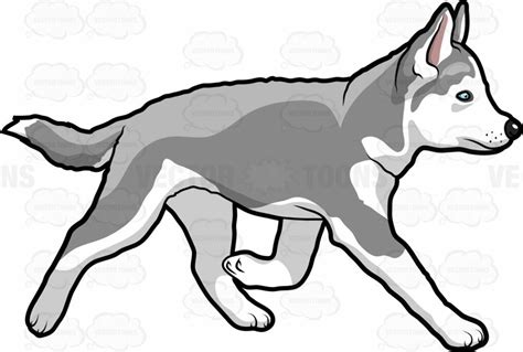 Download High Quality Husky Clipart Running Transparent Png Images