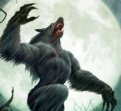 Famous Male Werewolf X Male Reader References