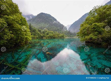Panda Lake Of Jiuzhai Valley National Park Stock Photo Image Of