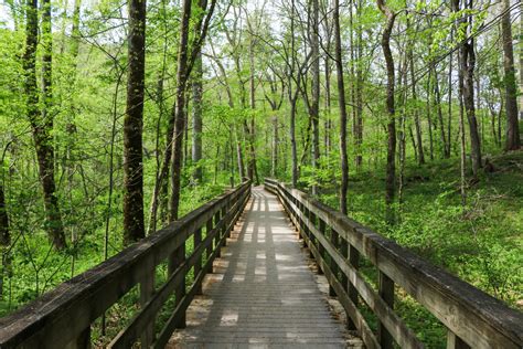 5 Best Hikes In Mammoth Cave National Park Journey To The Destination