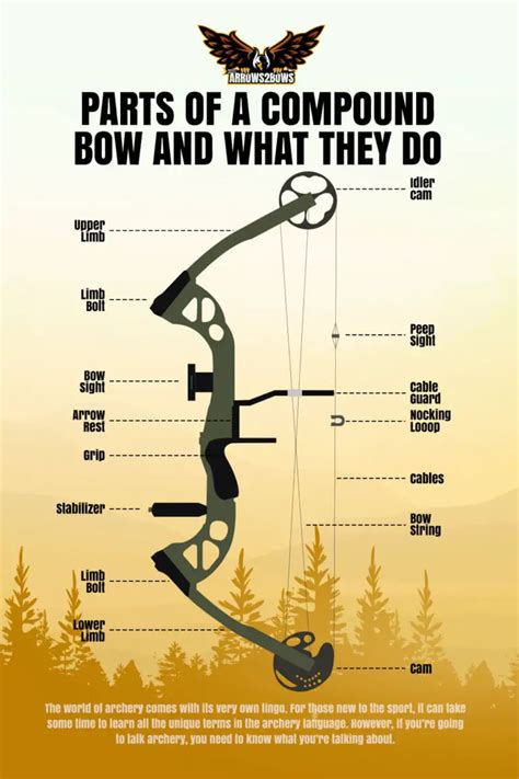 Parts Of A Compound Bow And What They Do All Parts Explained