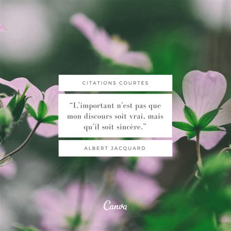 Les Plus Belles Citations Courtes Du Web Canva