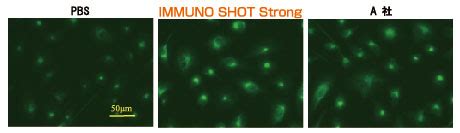 IMMUNO SHOT Immunostaining Strong Cosmo Bio Co Ltd