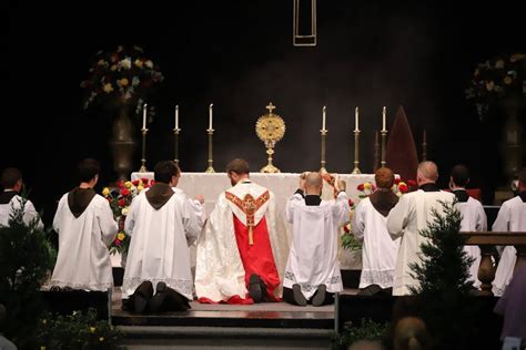 5 Pillars Of The Usccbs Eucharistic Revival Explained Catholic Link