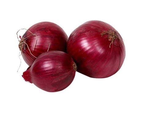 Onion Red 500g – One Organic png image