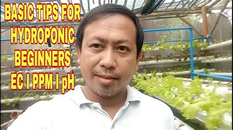 Hydroponics Basic Tips For Beginners Importance Of Ec Ppm And Ph