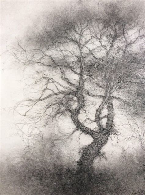Sue Bryan Two Trees Contemporary Realistic Landscape Drawing In
