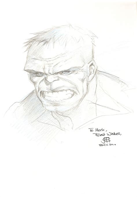 The Hulk By Jim Cheung In Mark Schweikerts Jim Cheung Comic Art