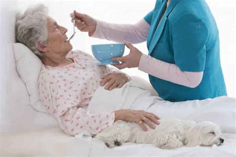 La formación de los cuidadores de personas mayores Cuidum Cuidado