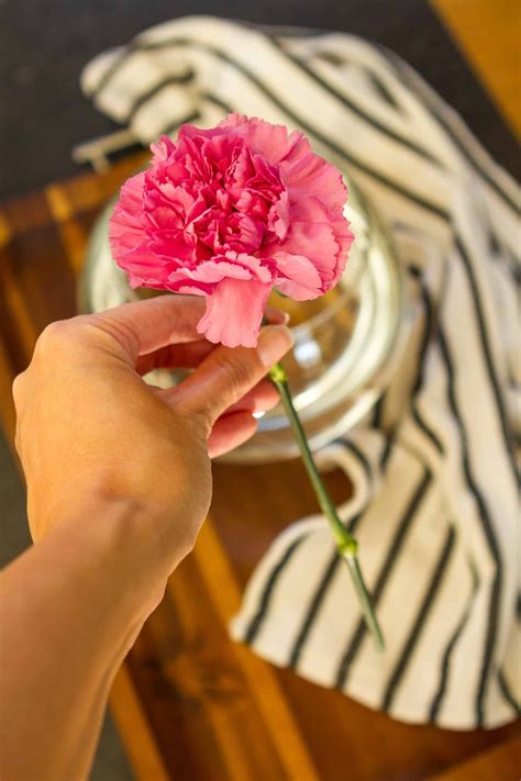 Simple Carnation Flower Arrangement But Stunning Unsophisticook