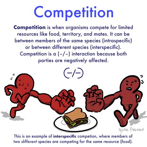 Competition — Definition And Examples Expii