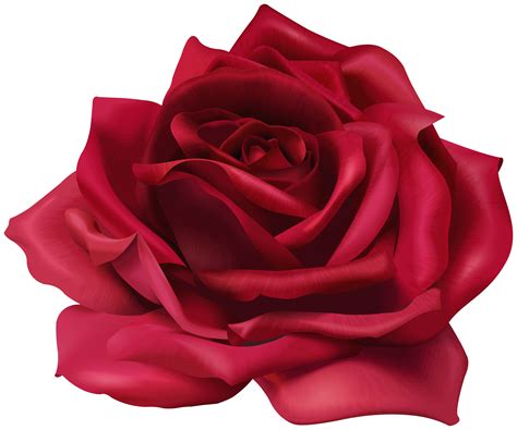 Freepng is a free to use png gallery where you can download high quality transparent png images. Red Flower Rose Transparent Image | Gallery Yopriceville ...