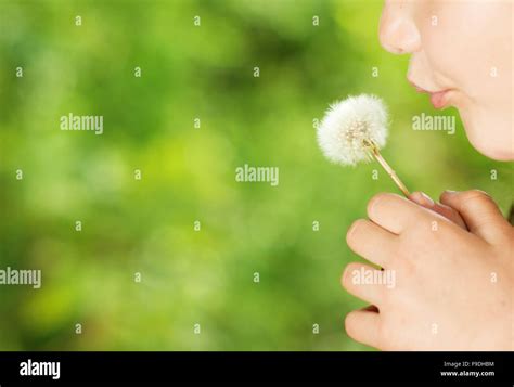 Cute Little Girl Is Blowing To Dandelion In The Green Park Stock Photo