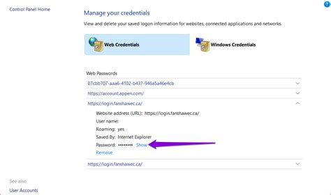 How To Access And Use Credential Manager On Windows 10 And 11 Guiding