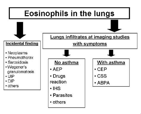 A Schematic Algorithm Approaching Eosinophilic Lung Infiltrates Using