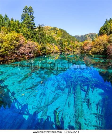 「lake Submerged Tree Trunks Jiuzhaigou Valley」の写真素材（今すぐ編集） 364096541