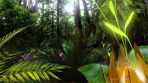 Tropical Forest Wallpapers Wallpaper Cave