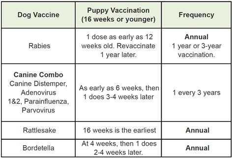 I know shots can cause side effects so i wasn't sure. Vaccination Schedule For Cats - Cat and Dog Lovers