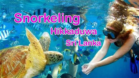 Boat Ride And Snorkeling In Hikkaduwa Sri Lanka Sea Turtles Youtube