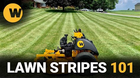 How To Improve Your Lawn Stripes Wright Youtube