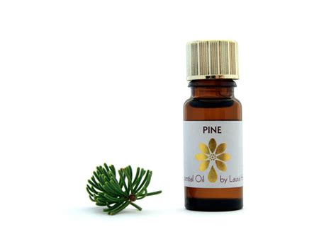 Pine Essential Oil Essential Oils And You