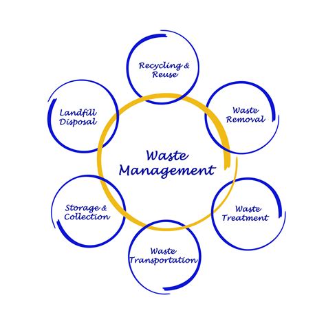 Understanding The Impacts Of Improper Waste Disposal
