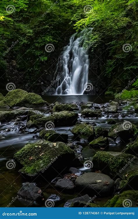 Glenoe Waterfall Northern Ireland Stock Image Image Of Moss Forest