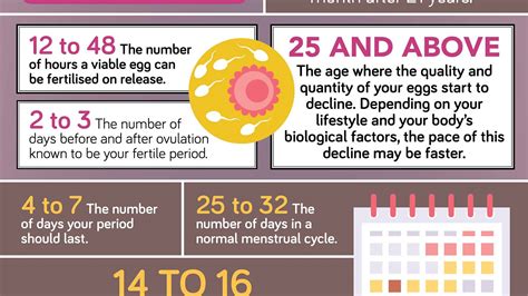 Your Fertility By The Numbers Infographic