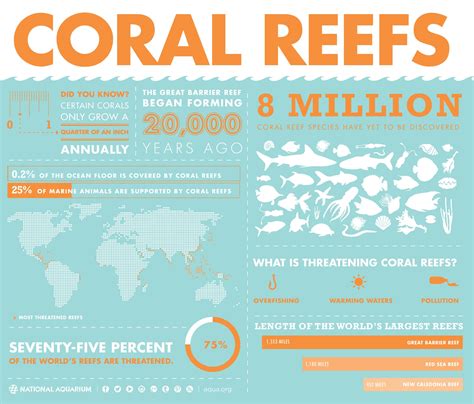 INFOGRAPHIC Coral Reefs Coral Reef Underwater City Coral Bleaching