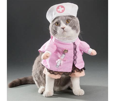 Dog Nurse Costume Cute Cat Halloween Costumes