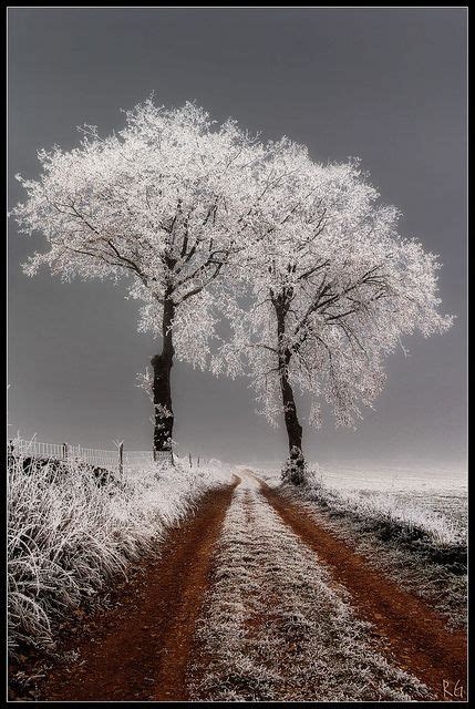 506 Best Beautiful Winter Scenes 2 Images In 2020 Winter Scenes