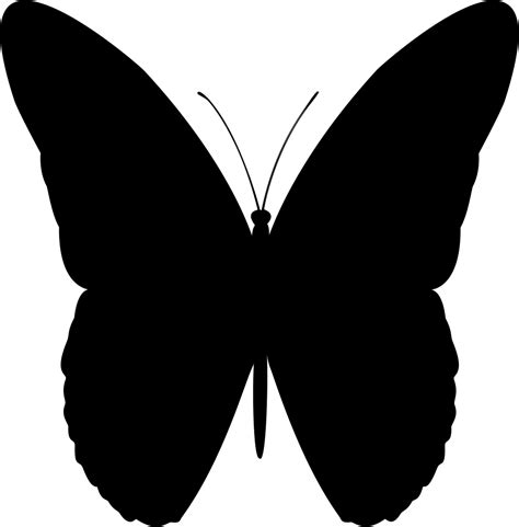 Solid Butterfly Svg Image Result For Free Butterfly Svg Files For
