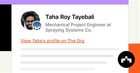 Taha Roy Tayebali Mechanical Project Engineer At Spraying Systems Co