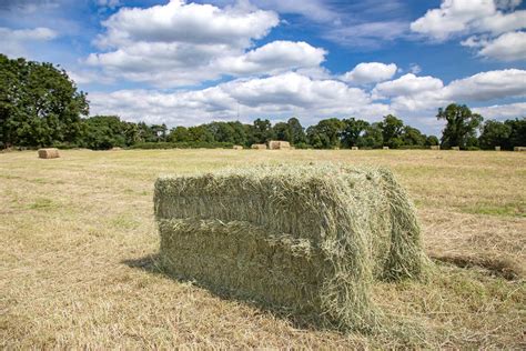 Robinson Farms Equestrian Hay For Sale Ireland Dust Free Hay For Horses