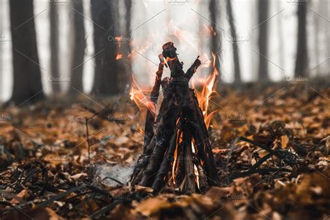 Bonfire In The Forest In The Evening High Quality Holiday Stock