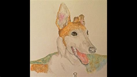 greyhound paintings   supplies youtube
