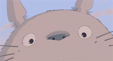 Totoro  Wallpaper Pc Totoro  On Tumblr Discover More Posts