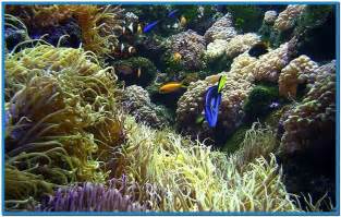 free live aquarium screensavers download Car Pictures
