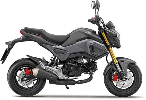 New retail msx125 (all variants) orders from 4 august 2020 to 30 november 2020 and registered by 30 november 2020. Honda MSX 125 - Honda MSX125 - Moto / Motorcycle - Centre ...