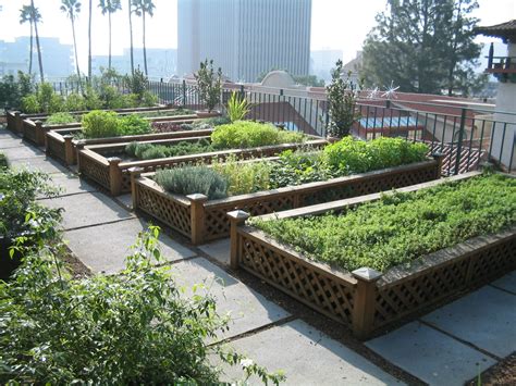 Can Urban Agriculture Feed The Worlds Growing Cities Sustainability
