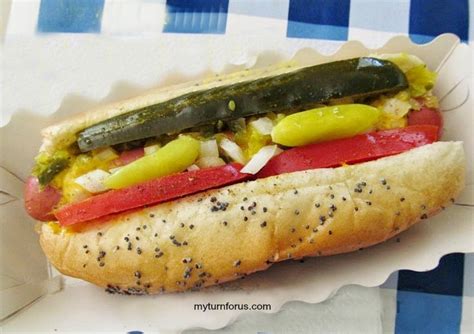 A new wellness dog kitchen opened in lincoln park, solving pets' health problems with a whole foods diet. How to build an Amazing Chicago dog - My Turn for Us