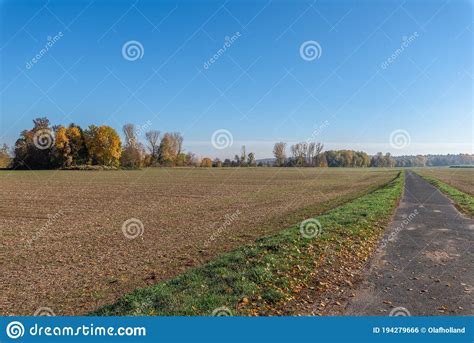 Autumnal Rural Countryside With Fall Foliage Trees Fields Grass And