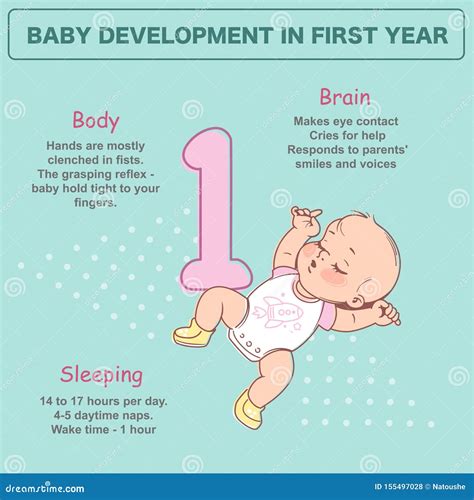 Little Newborn Baby Of 1 Month Sleeping Development Infographics Stock